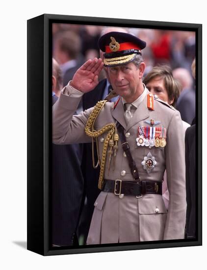 Prince Charles Takes Salute and Meets Veterans of Dunkirk-null-Framed Premier Image Canvas