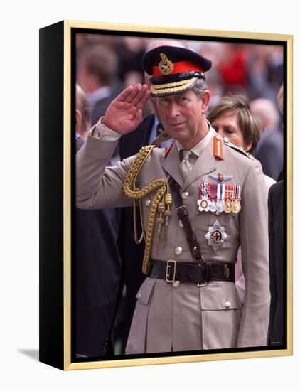 Prince Charles Takes Salute and Meets Veterans of Dunkirk-null-Framed Premier Image Canvas