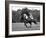 Prince Charles, Windsor Polo. June 1977-null-Framed Photographic Print