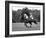 Prince Charles, Windsor Polo. June 1977-null-Framed Photographic Print