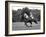 Prince Charles, Windsor Polo. June 1977-null-Framed Photographic Print