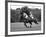 Prince Charles, Windsor Polo. June 1977-null-Framed Photographic Print