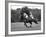 Prince Charles, Windsor Polo. June 1977-null-Framed Photographic Print