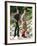 Prince Charles with Sons at Balmoral-null-Framed Photographic Print