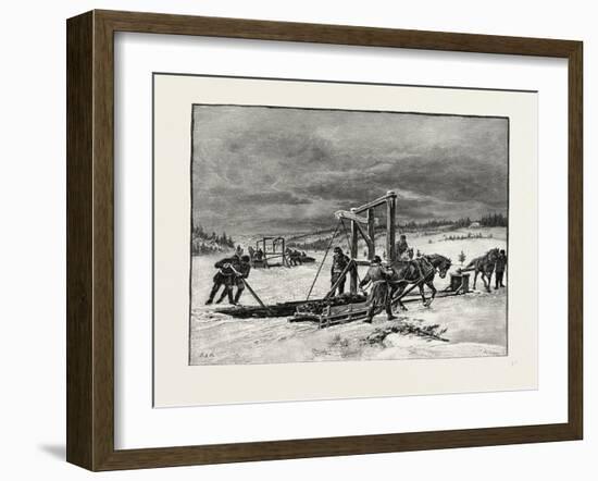 Prince Edward Island, Digging Mussel Mud, Canada, Nineteenth Century-null-Framed Giclee Print