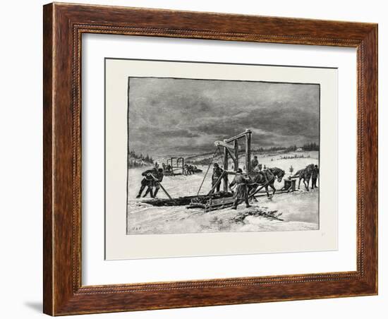Prince Edward Island, Digging Mussel Mud, Canada, Nineteenth Century-null-Framed Giclee Print