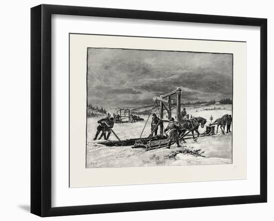 Prince Edward Island, Digging Mussel Mud, Canada, Nineteenth Century-null-Framed Giclee Print