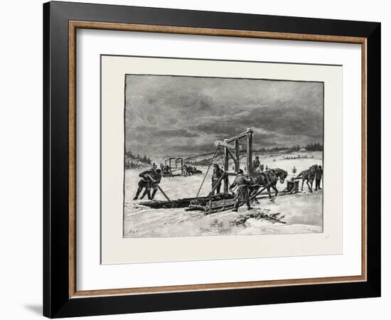 Prince Edward Island, Digging Mussel Mud, Canada, Nineteenth Century-null-Framed Giclee Print