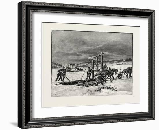 Prince Edward Island, Digging Mussel Mud, Canada, Nineteenth Century-null-Framed Giclee Print