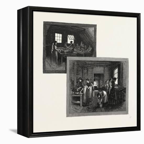 Prince Edward Island, Lobster Canning, Canada, Nineteenth Century-null-Framed Premier Image Canvas