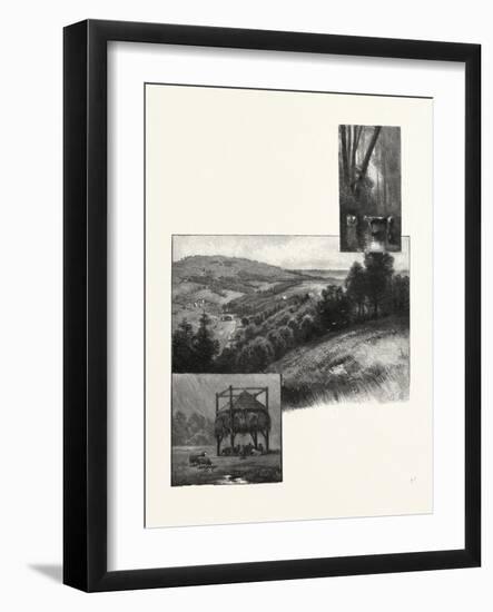 Prince Edward Island, Pastoral Scenes, Canada, Nineteenth Century-null-Framed Giclee Print