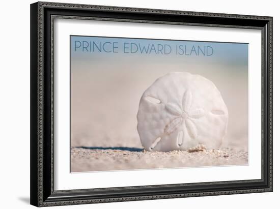 Prince Edward Island - Sand Dollar-Lantern Press-Framed Art Print