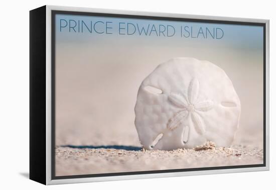 Prince Edward Island - Sand Dollar-Lantern Press-Framed Stretched Canvas