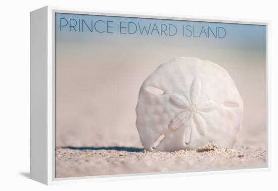 Prince Edward Island - Sand Dollar-Lantern Press-Framed Stretched Canvas