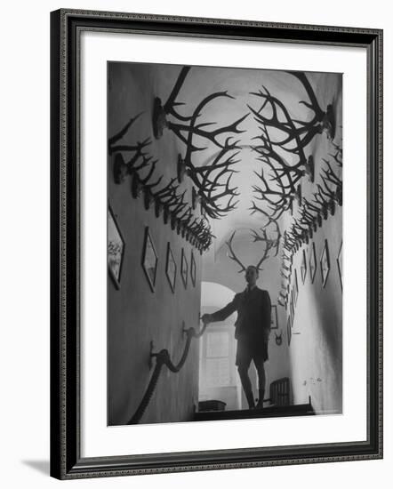 Prince Franz Joseph of Thurn and Taxis Amidst Collection of 2,000 Deer Antlers and Antelope Horns-Walter Sanders-Framed Premium Photographic Print