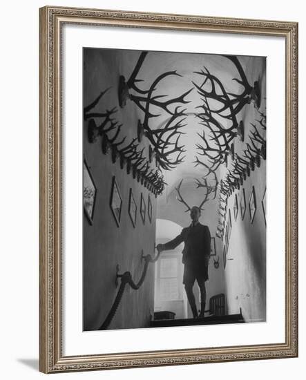 Prince Franz Joseph of Thurn and Taxis Amidst Collection of 2,000 Deer Antlers and Antelope Horns-Walter Sanders-Framed Premium Photographic Print