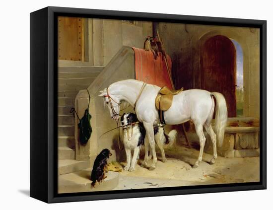 Prince George's Favourites-Edwin Henry Landseer-Framed Premier Image Canvas