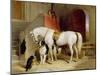 Prince George's Favourites-Edwin Henry Landseer-Mounted Giclee Print