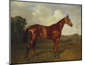 Prince Hatzfeldt's Chestnut Gelding 'Ascetic's Silver' in a Paddock-Emil Adam-Mounted Premium Giclee Print
