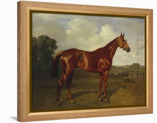 Prince Hatzfeldt's Chestnut Gelding 'Ascetic's Silver' in a Paddock-Emil Adam-Framed Premier Image Canvas