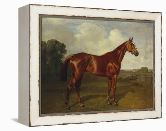 Prince Hatzfeldt's Chestnut Gelding 'Ascetic's Silver' in a Paddock-Emil Adam-Framed Premier Image Canvas