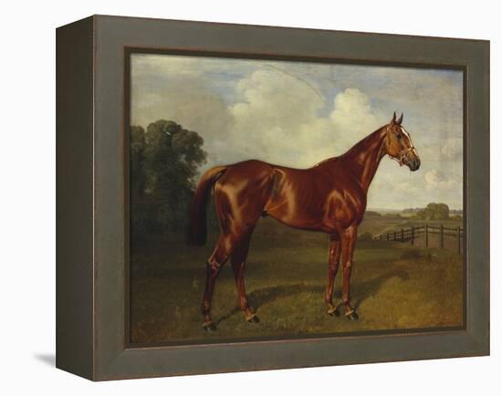 Prince Hatzfeldt's Chestnut Gelding 'Ascetic's Silver' in a Paddock-Emil Adam-Framed Premier Image Canvas