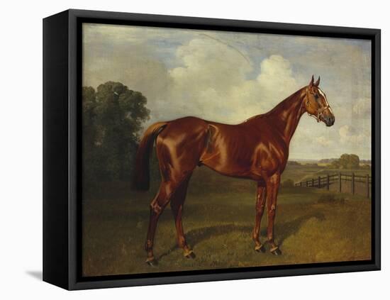 Prince Hatzfeldt's Chestnut Gelding 'Ascetic's Silver' in a Paddock-Emil Adam-Framed Premier Image Canvas