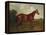 Prince Hatzfeldt's Chestnut Gelding 'Ascetic's Silver' in a Paddock-Emil Adam-Framed Premier Image Canvas