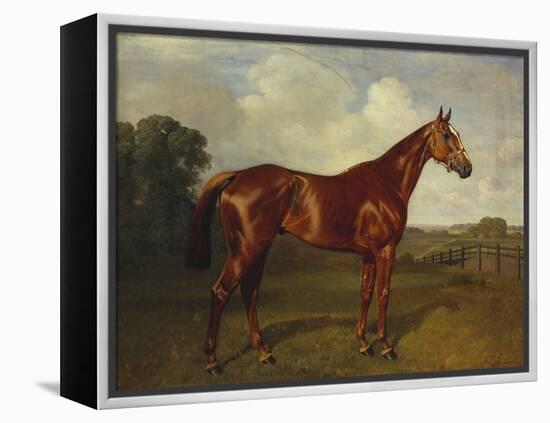 Prince Hatzfeldt's Chestnut Gelding 'Ascetic's Silver' in a Paddock-Emil Adam-Framed Premier Image Canvas