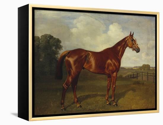 Prince Hatzfeldt's Chestnut Gelding 'Ascetic's Silver' in a Paddock-Emil Adam-Framed Premier Image Canvas