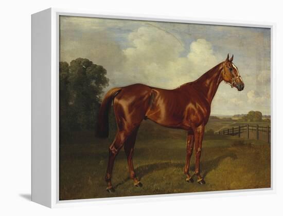 Prince Hatzfeldt's Chestnut Gelding 'Ascetic's Silver' in a Paddock-Emil Adam-Framed Premier Image Canvas