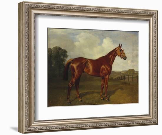 Prince Hatzfeldt's Chestnut Gelding 'Ascetic's Silver' in a Paddock-Emil Adam-Framed Premium Giclee Print