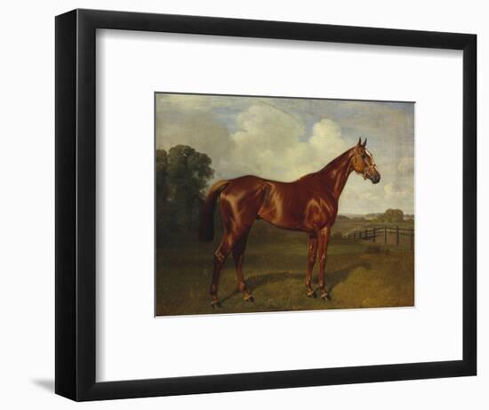 Prince Hatzfeldt's Chestnut Gelding 'Ascetic's Silver' in a Paddock-Emil Adam-Framed Premium Giclee Print