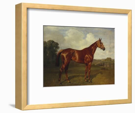 Prince Hatzfeldt's Chestnut Gelding 'Ascetic's Silver' in a Paddock-Emil Adam-Framed Premium Giclee Print