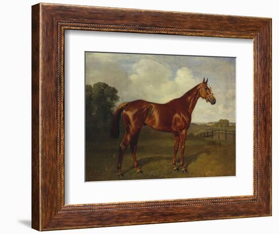 Prince Hatzfeldt's Chestnut Gelding 'Ascetic's Silver' in a Paddock-Emil Adam-Framed Premium Giclee Print