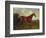 Prince Hatzfeldt's Chestnut Gelding 'Ascetic's Silver' in a Paddock-Emil Adam-Framed Giclee Print