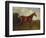 Prince Hatzfeldt's Chestnut Gelding 'Ascetic's Silver' in a Paddock-Emil Adam-Framed Giclee Print