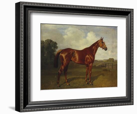 Prince Hatzfeldt's Chestnut Gelding 'Ascetic's Silver' in a Paddock-Emil Adam-Framed Giclee Print