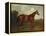 Prince Hatzfeldt's Chestnut Gelding 'Ascetic's Silver' in a Paddock-Emil Adam-Framed Premier Image Canvas