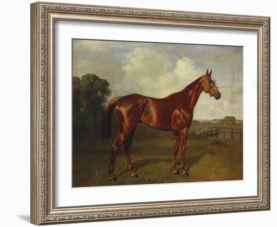 Prince Hatzfeldt's Chestnut Gelding 'Ascetic's Silver' in a Paddock-Emil Adam-Framed Giclee Print