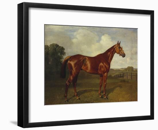 Prince Hatzfeldt's Chestnut Gelding 'Ascetic's Silver' in a Paddock-Emil Adam-Framed Giclee Print