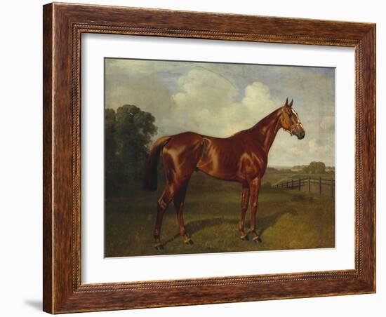 Prince Hatzfeldt's Chestnut Gelding 'Ascetic's Silver' in a Paddock-Emil Adam-Framed Giclee Print