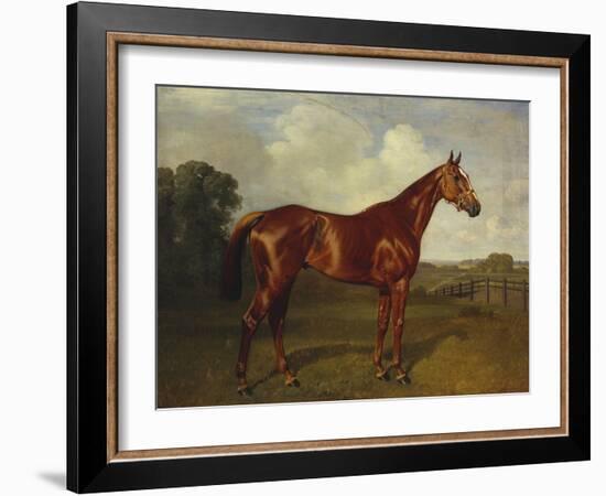 Prince Hatzfeldt's Chestnut Gelding 'Ascetic's Silver' in a Paddock-Emil Adam-Framed Giclee Print