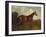 Prince Hatzfeldt's Chestnut Gelding 'Ascetic's Silver' in a Paddock-Emil Adam-Framed Giclee Print