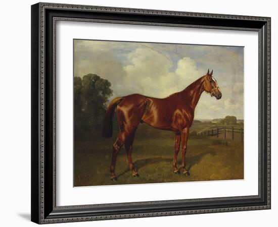 Prince Hatzfeldt's Chestnut Gelding 'Ascetic's Silver' in a Paddock-Emil Adam-Framed Giclee Print