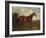 Prince Hatzfeldt's Chestnut Gelding 'Ascetic's Silver' in a Paddock-Emil Adam-Framed Giclee Print