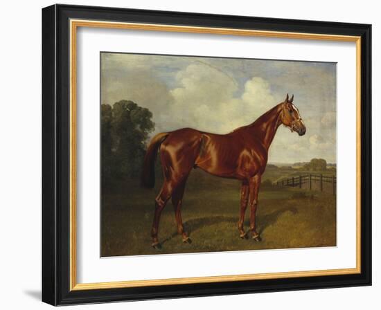 Prince Hatzfeldt's Chestnut Gelding 'Ascetic's Silver' in a Paddock-Emil Adam-Framed Giclee Print