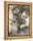 Prince into Tree-Arthur Rackham-Framed Premier Image Canvas