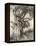 Prince into Tree-Arthur Rackham-Framed Premier Image Canvas