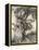 Prince into Tree-Arthur Rackham-Framed Premier Image Canvas